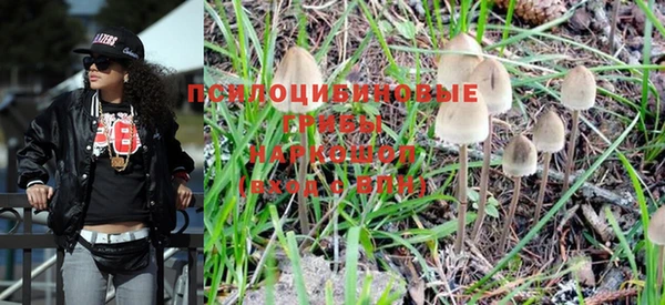 кокс Пересвет