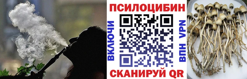 Галлюциногенные грибы Psilocybe  Купить где  Барнаул